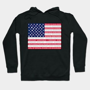 Fireworks Flag Snakes and Sparklers Hoodie